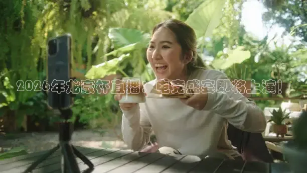 西瓜看球网页版