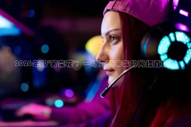 西瓜看球网页版